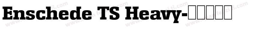Enschede TS Heavy字体转换